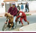 /album/vtipne-obrazky/one-moped-for-all-jpg/